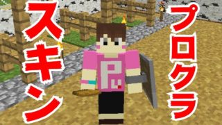 【プロクラ】新スキン！！変わりゆく生活！！マイクラ実況 PART05【マインクラフト】