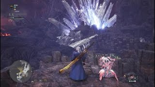 モンスターハンター：ワールド_20180508111843