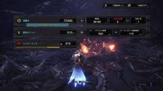 モンスターハンター：ワールド_20180528225142