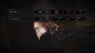 モンスターハンター：ワールド_20180521125736