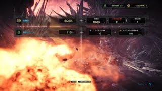 モンスターハンター：ワールド_20180519104431