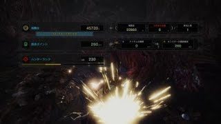 モンスターハンター：ワールド_20180520103057