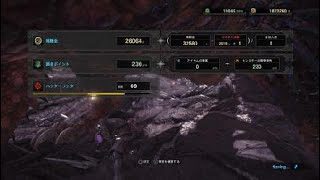 モンスターハンター：ワールド_20180515020713