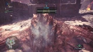 モンスターハンター：ワールド_20180510174206