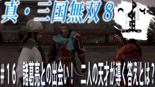 【明日雨】Astaの真・三国無双8#16【アクション】