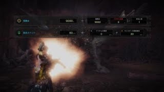 モンスターハンター：ワールド_20180525141152