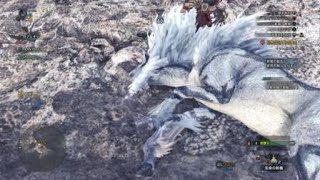 モンスターハンター：ワールド_20180513185245