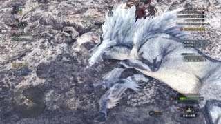 モンスターハンター：ワールド_20180513185245