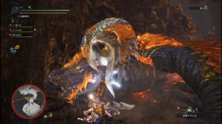 モンスターハンターワールド　マムタロト　 2018 05 03 23 33 05 468