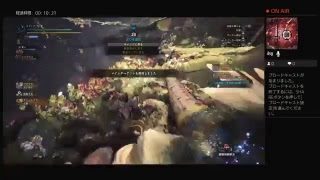 ﾓﾝｽﾀｰﾊﾝﾀｰﾜｰﾙﾄﾞ　片手剣でプレイ　part 34