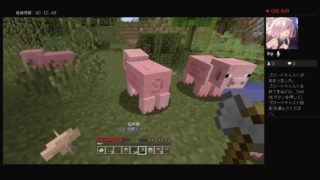 霧隠狩魔が夜中にマインクラフトをやるらしいですよ？(ps4)