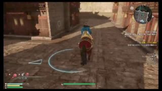 真・三國無双　まったりプレイ　辛憲英　特製コスチューム