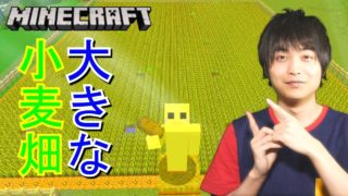 【マインクラフト】大きな小麦畑を作る!! 牛・羊・ラマ等のご飯!!【セイハのセハクラ実況act13】