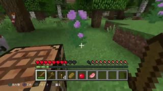 ベビーさんとマインクラフト＃1