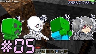 【1年以内にマインクラフトの全バージョンクリアする#5】inf20100618 EP5