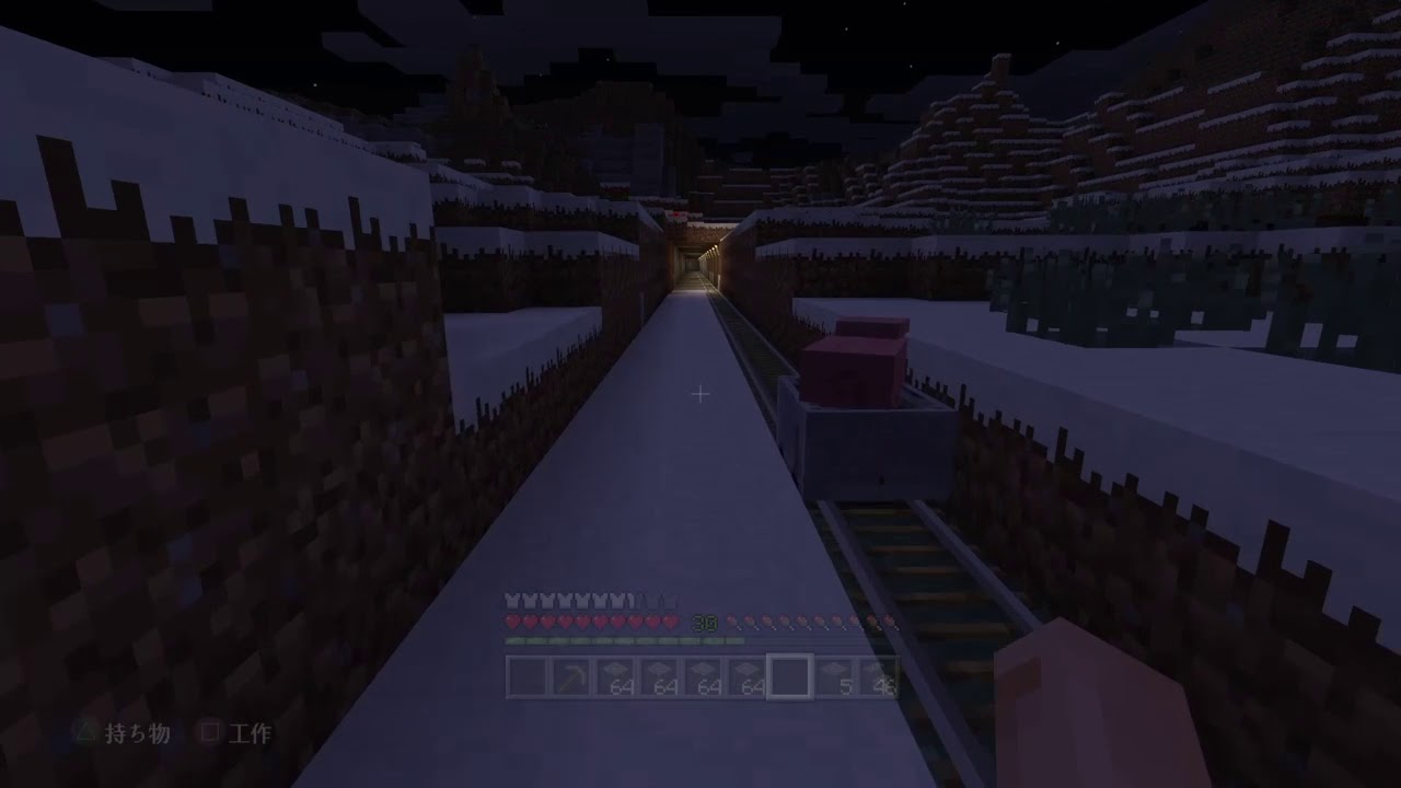 マインクラフト　豚さんを眺めている動画［注意］クラフトしていません