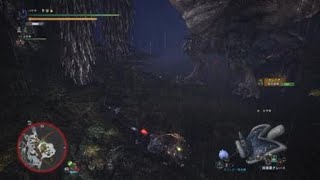 モンスターハンター：ワールド_20180509083313