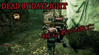 ［デッドバイデイライト］初心者逃亡　PS4 Pro　＃1