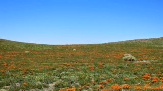 真　三國無双8 : 呉モード 孫尚香編 ＃4（実況なし）