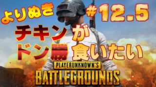 【PUBG】よりぬきチキンドン勝　#12.5番外編【実況】