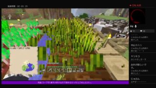 PS4［マインクラフト]まったり雑談ラジオ※画面固定多いです