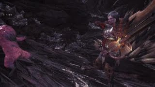 モンスターハンター：ワールド_20180529000014
