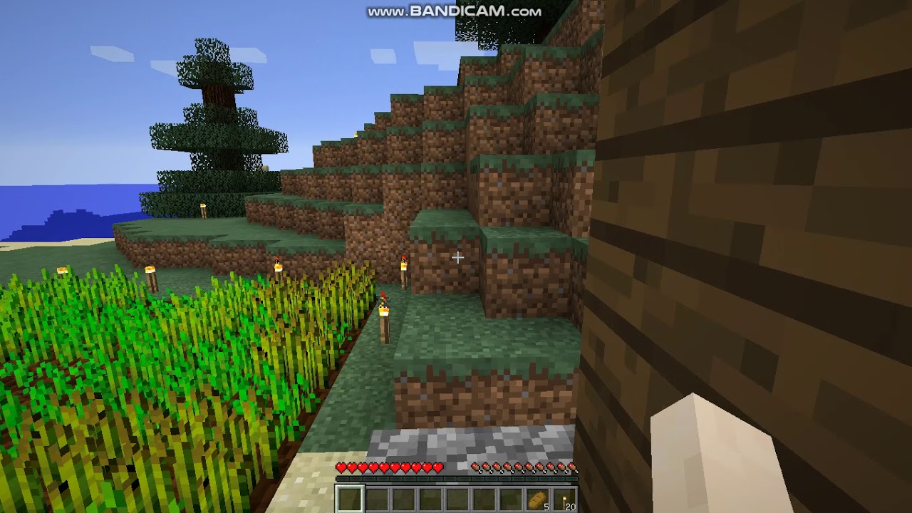 マインクラフト051