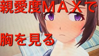 ぎゃるがん2　好感度Maxで胸を見ると！！