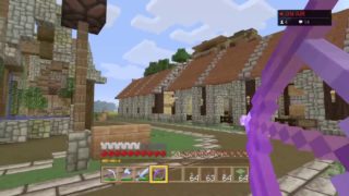 【マインクラフト】ちゅなかんの生放送【＃53】【初見さん歓迎】