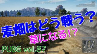 【PUBG】vol.87（ゆっくり実況）麦畑はどう戦う？　FPS初心者ドン勝6杯目を目指す！