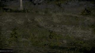 真・三國無双８_初見で彷徨う_0185(呂布0004)