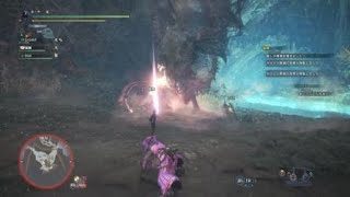 モンスターハンター：ワールド_20180527172146