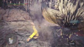 モンスターハンターワールド　配信バウンティやってこ