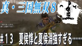 【明日雨】Astaの真・三国無双8#13【アクション】