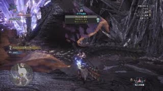 モンスターハンター：ワールド_20180521012820