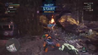 久しぶりのモンハン後半［モンスターハンターワールド］