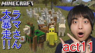 【マインクラフト】ラマさん大暴走!! 大量捕獲・繁殖・装飾してみたよ♪【セイハのセハクラ実況act11】