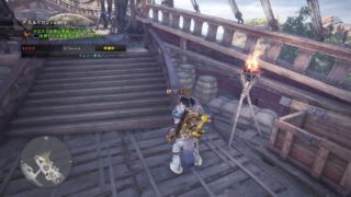 モンスターハンター：ワールド_20180518194335