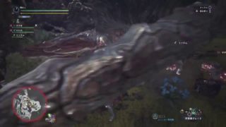 【歴戦】クシャルダオラ討伐　モンスターハンター：ワールド