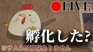 【PUBG】孵化した卵のようになりたい配信