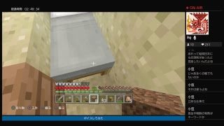 [おっさんが一人でやる]マインクラフト[その34]