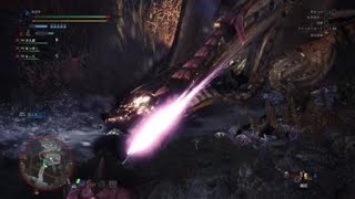 モンスターハンター：ワールド_20180513030203