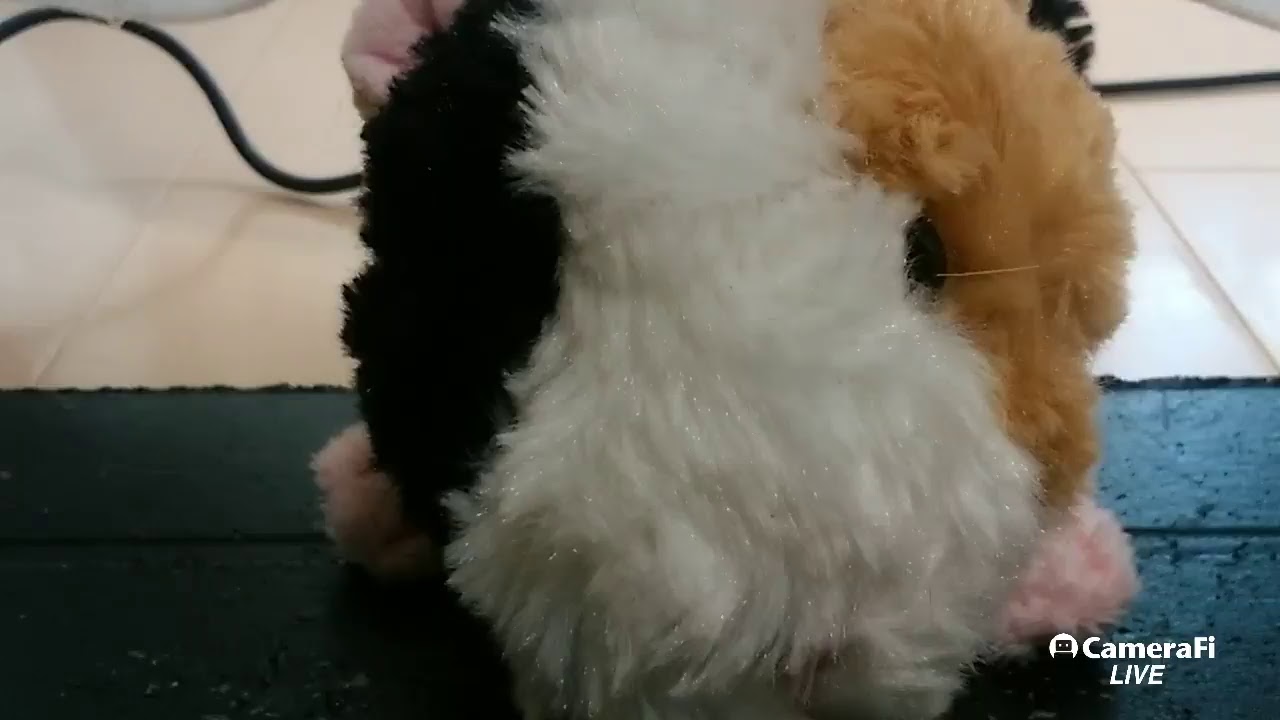 スプラトゥーン2
初見大歓迎参加型😆
フレコード
2784-8477-0885