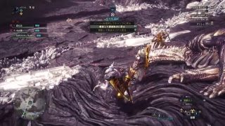 #29【ねーちゃんの今日の配信】モンスターハンターワールド