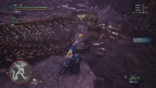 モンスターハンターワールド　　歴戦イビルジョーを倒しましょうや