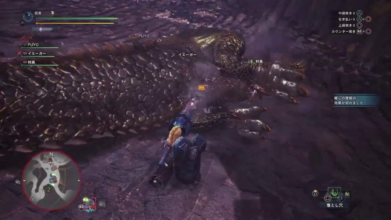 モンスターハンターワールド　　歴戦イビルジョーを倒しましょうや