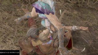 『リョナ』黄蓋バスターで、泥水汚れ な【王元姫】（静止画）