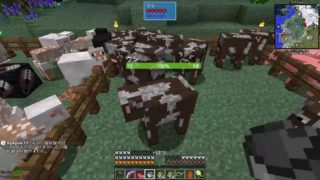 【Live】#17 SevTech Ages　デジタルマイナー作成【マインクラフト】