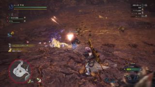 モンスターハンター：ワールド_20180504145629