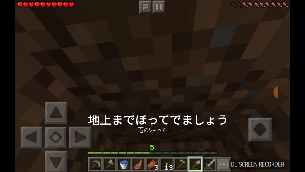 チャッピーの今更マインクラフト　4日目　🐔の繁殖